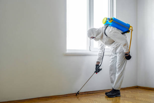 Best Best Pest Control Companies  in Polo, IL