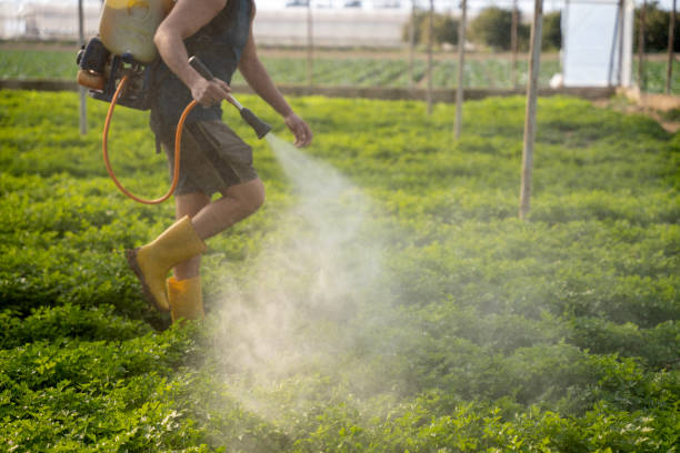 Best Pest Inspection Near Me  in Polo, IL