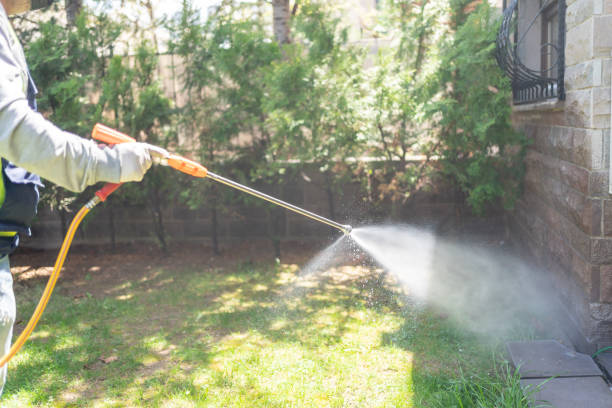 Best Wasp Removal Services  in Polo, IL