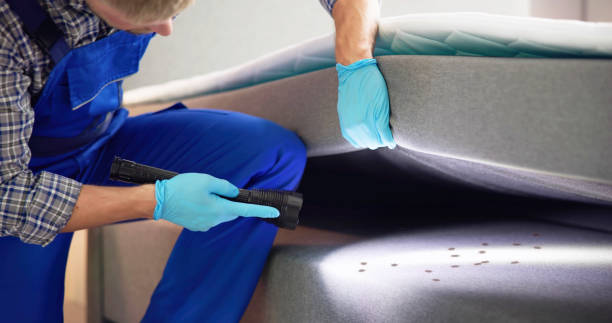 Best Pest Prevention Services  in Polo, IL