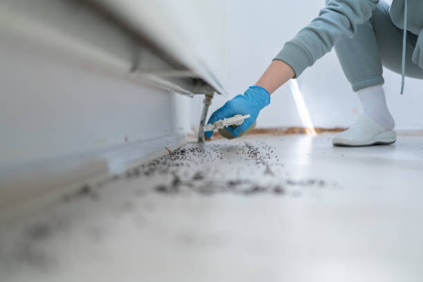 Best Residential Pest Control  in Polo, IL